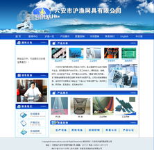 六安市滬漁網具 以OA系統與軟件開發為翼，構建信息化的高效未來